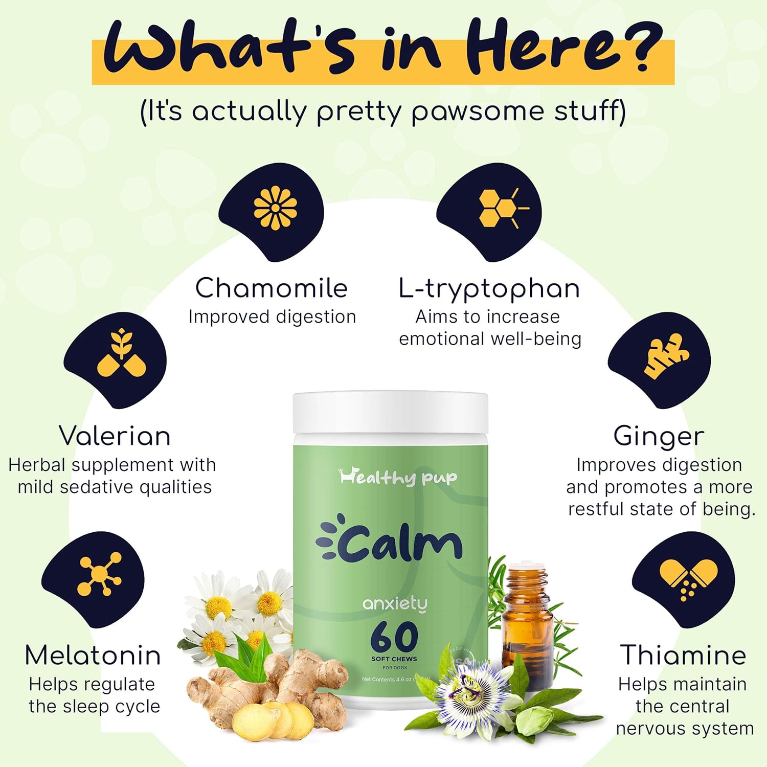 Healthy Pup Calming Chews for Dog Anxiety Relief - 60 Soft Treats