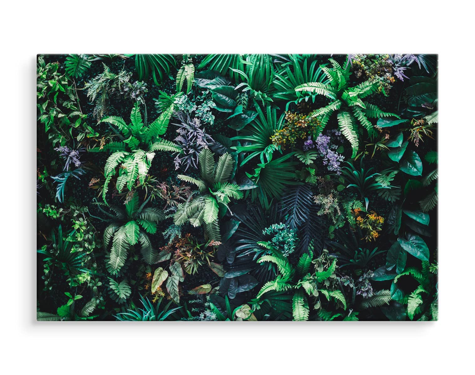 Leinwandbild Pfingstrosen 90x60 Cm – XXL Wandbild Für Wohnzimmer, Schlafzimmer | Natur-Motiv, Fertig Auf Keilrahmen