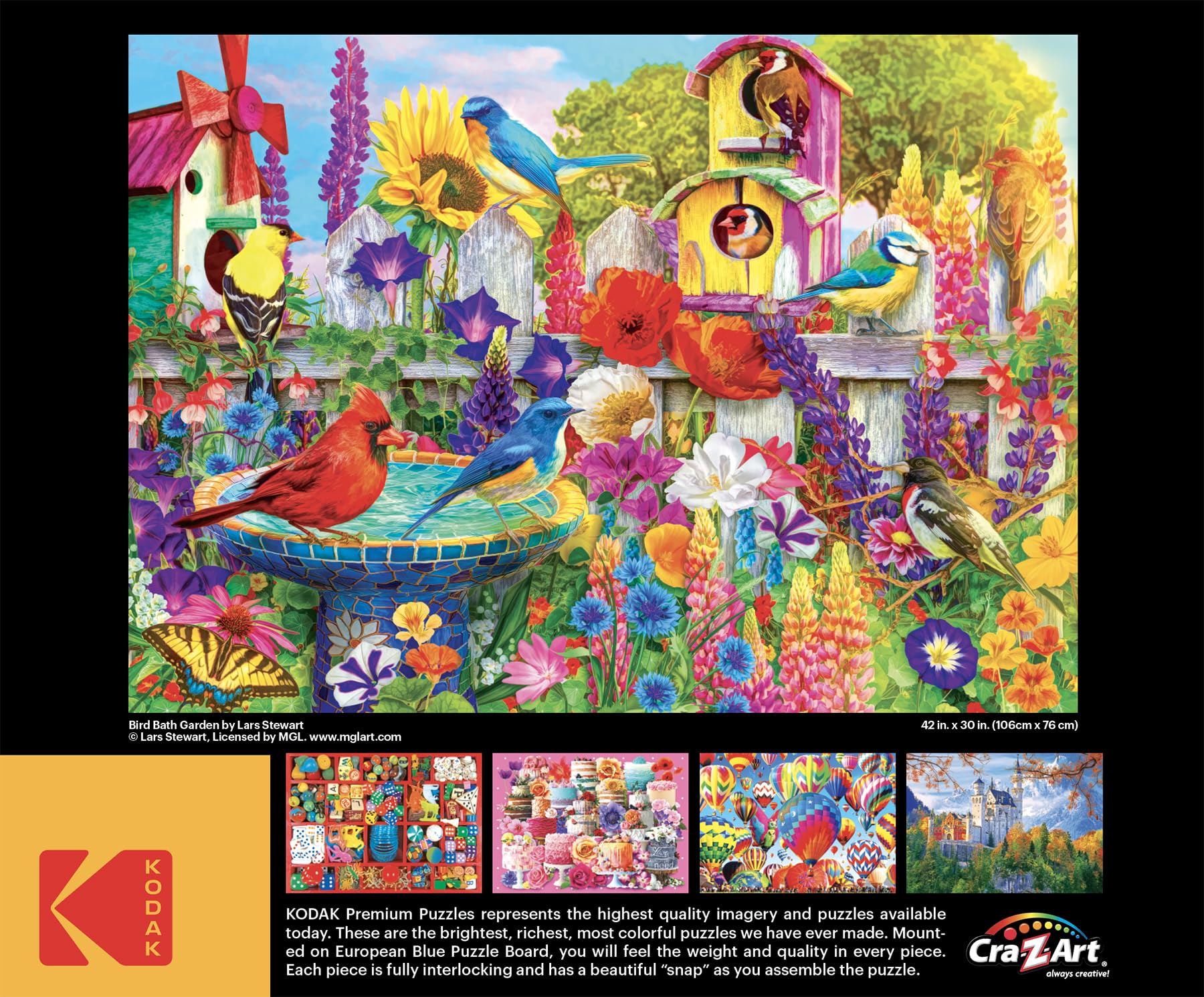 Amazon.com: RoseArt - Kodak Premium - Bird Bath Garden - 3000