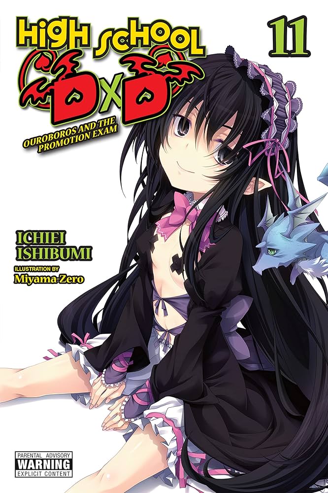 Amazon.com: High School DxD, Vol. 11 (light novel): Ouroboros and