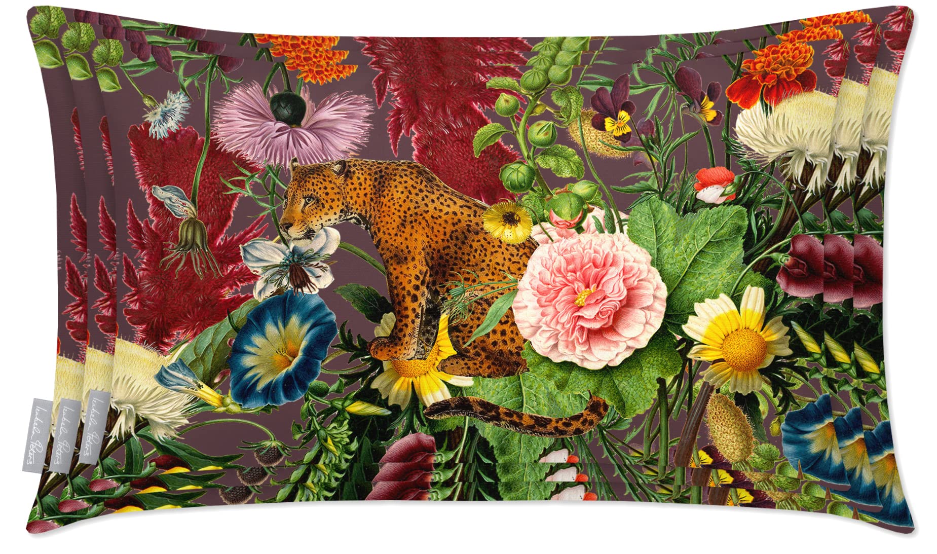View 8