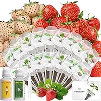 Vista 8 de Hydroponics - Vaina de semillas con albahaca genovesa y albahaca morada, kit completo de 8 cápsulas con esponja, canasta, cúpula, etiqueta