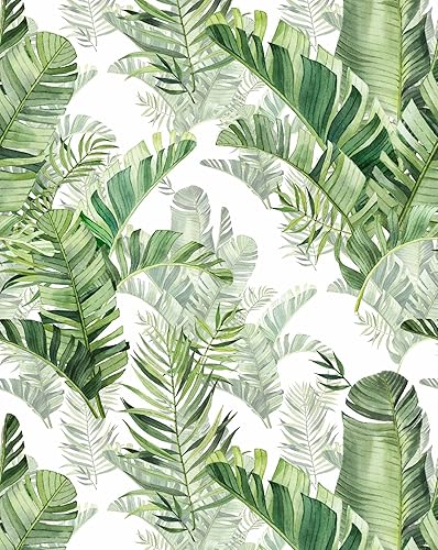 Papel tapiz autoadhesivo de palmera tropical, hojas de selva tropical, papel de vinilo verde extraíble para decoración del hogar, 17.7 pulgadas x