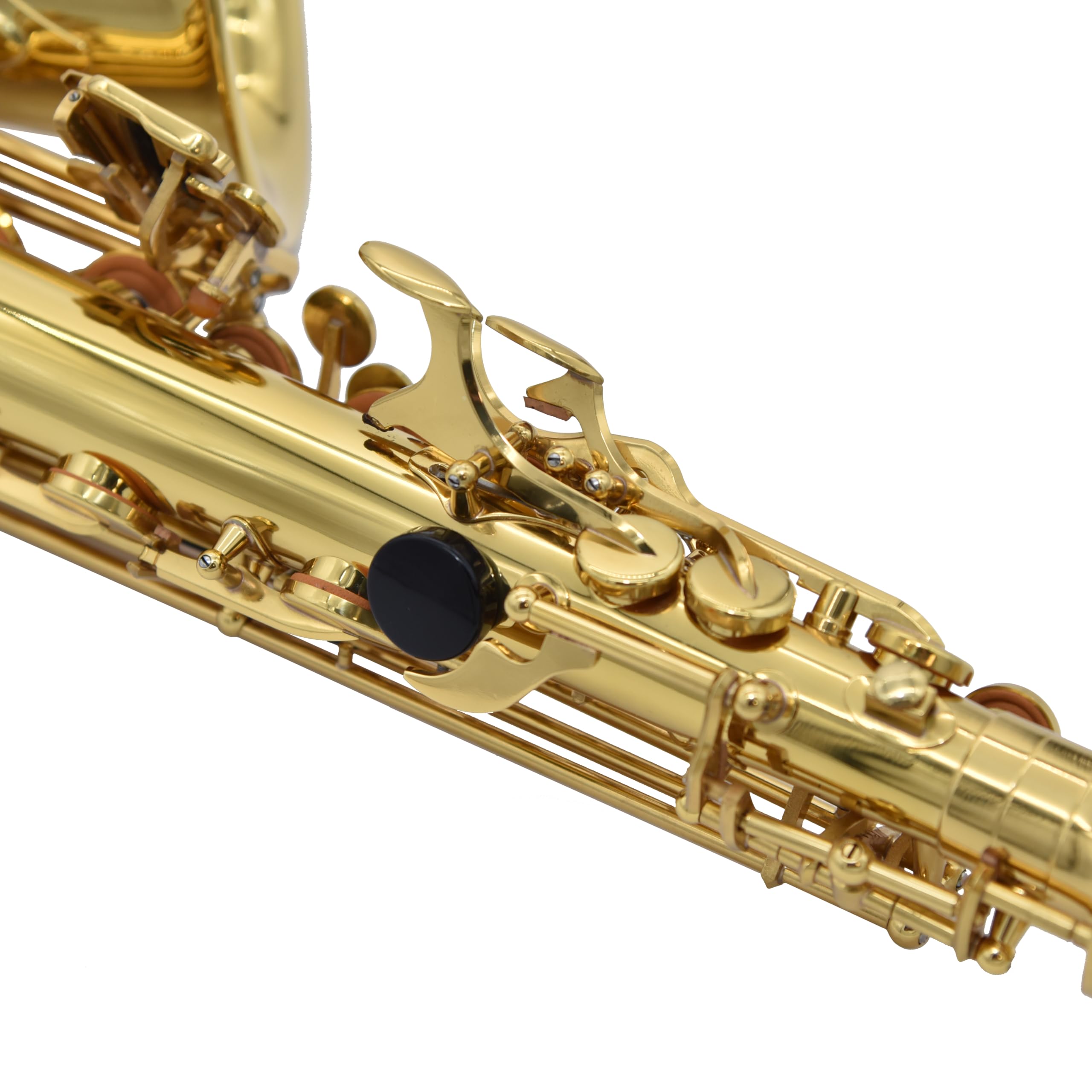 L.A.R. - By Ripamonti Sassofono Contralto in Mib (Eb), Corpo in Ottone Laccato, Chiave Fa# Acuto, Poggiapollice Regolabile, Custodia Completa con Accessori