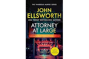 Attorney at Large: Page-Turning Legal Thriller