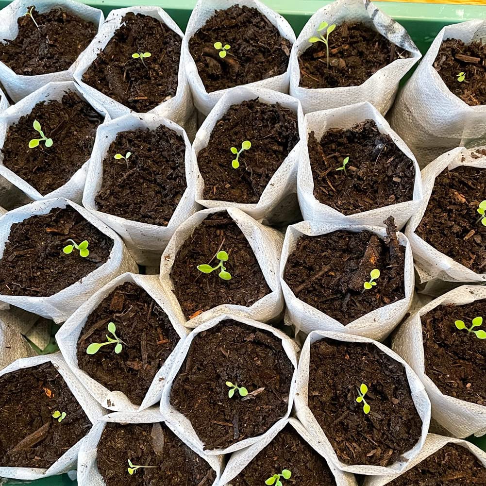 Bolsa grande de cultivo de plántulas no tejidas, 50 bolsas de tela para plantas de 11.2 x 10.2 pulgadas, macetas de tela para plantar, jardinería, suministros de jardín en el hogar