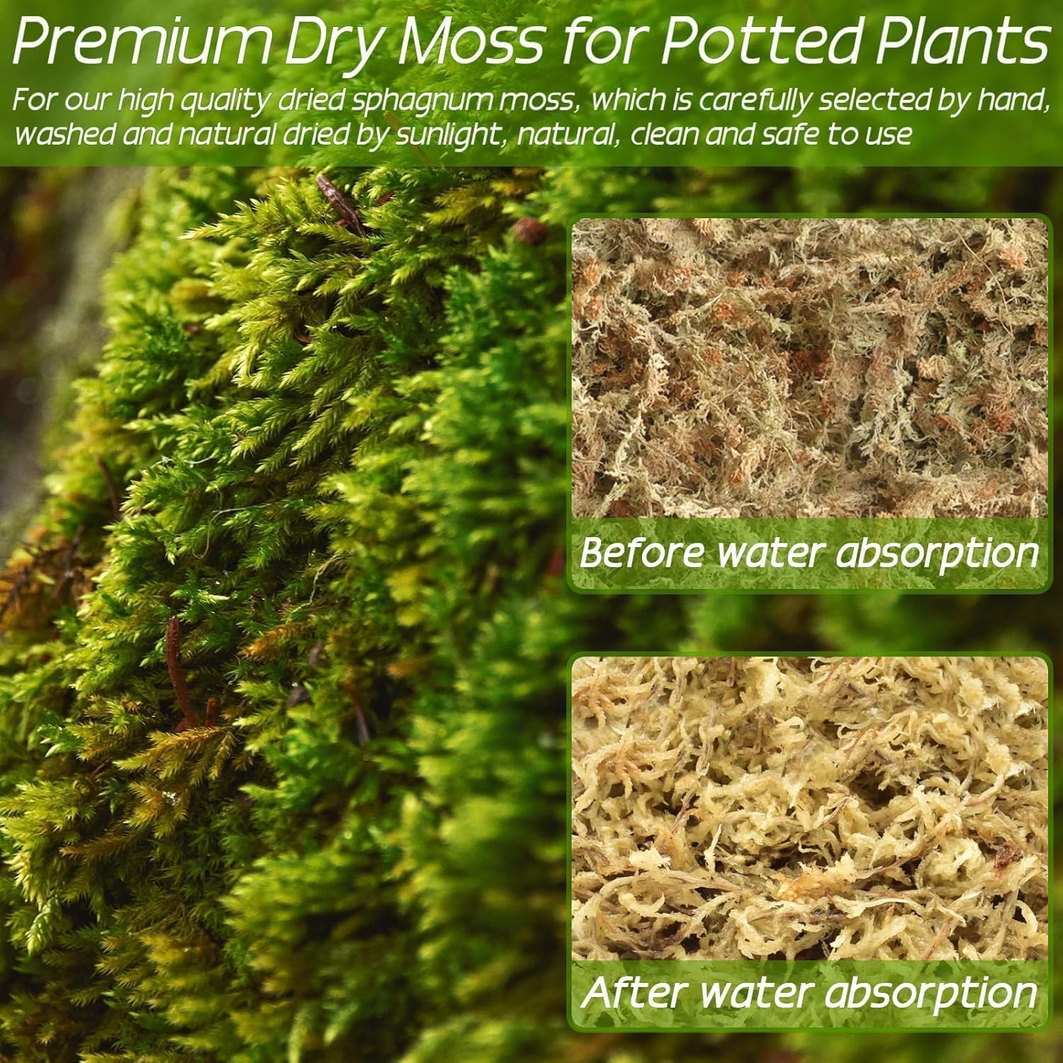 ZeeDix 3.3 lb Premium Sphagnum Moss Bulk, Dried Long Fiber Orchid Sphagnum Peat Moss for Indoor Outdoor Plants, Carnivorous Plants, Succulent, Monstera & Reptiles Habitats (Expands to 60 qt)