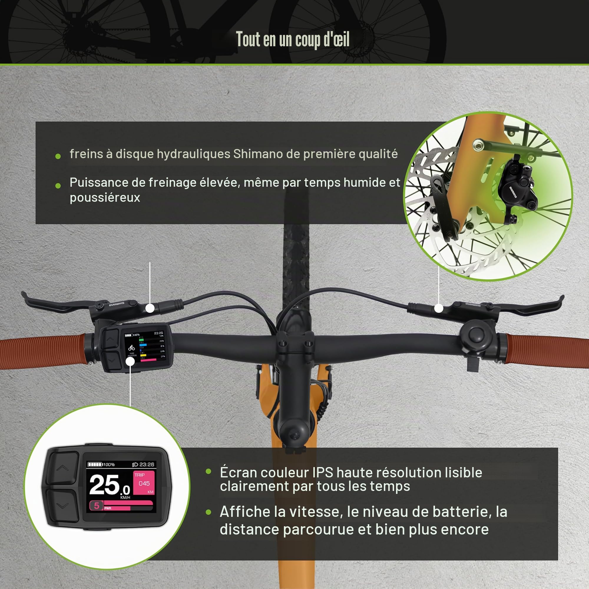 Allrounder Urban Trekking Vélo électrique C3T avec capteur de couple d'entraînement par courroie | 28 pouces 18 kg Vélo électrique Pedelec ultra léger pour homme et femme