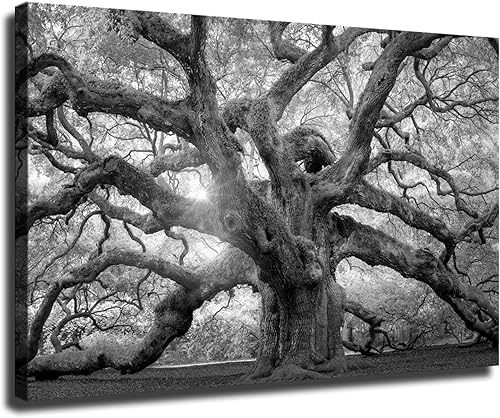 DesPol Póster en lienzo con diseño de árbol de roble de ángel, de Charleston, Carolina del Sur, color blanco y negro, arte de pared para sala de