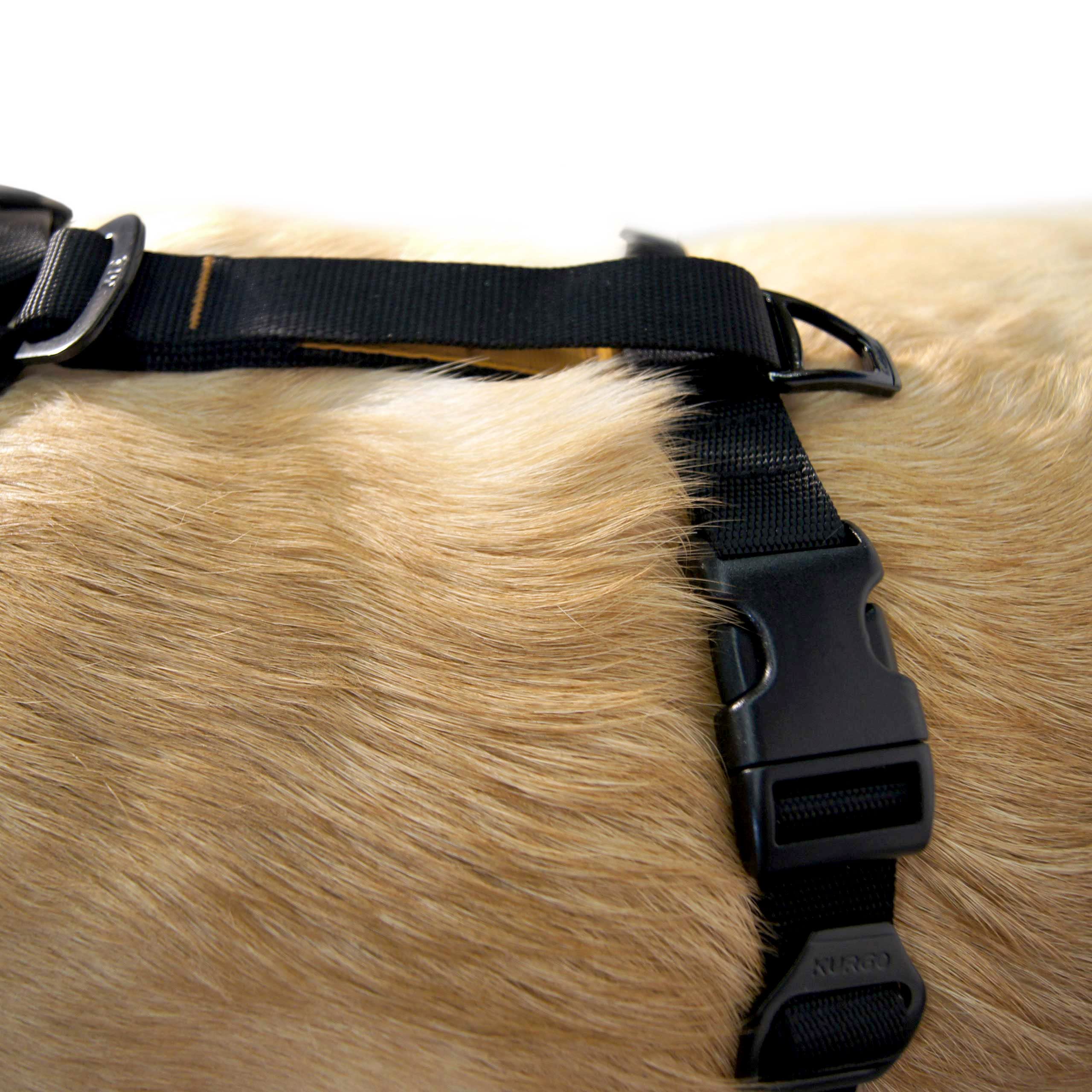 Kurgo Tru-Fit Intelligentes Hundegeschirr für Spaziergänge - Bequeme Passform - Verstellbares Geschirr - Reflektierende Tierbekleidung - Mit Sicherheitsgurt-Schlaufe - Schwarz - Mittel
