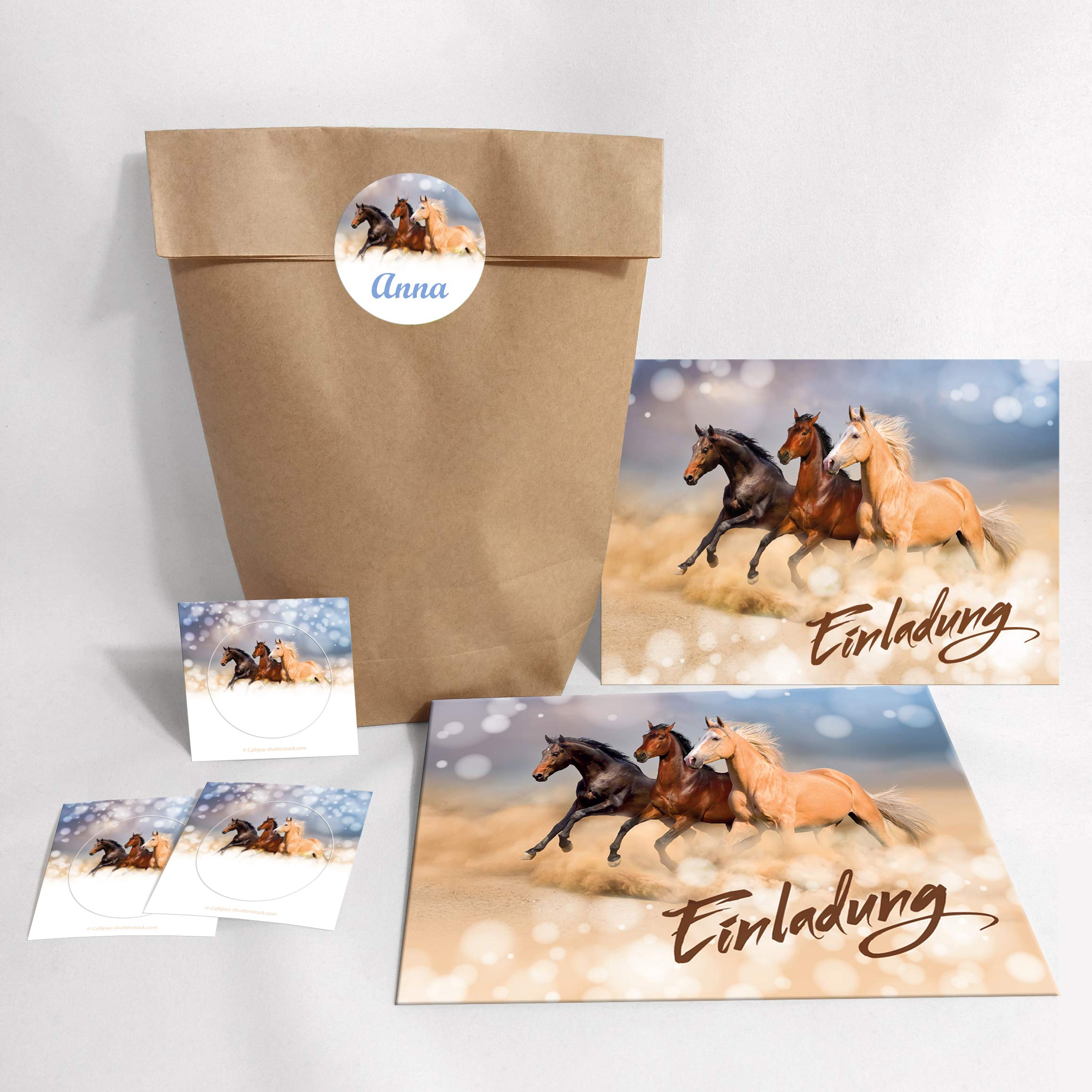 JuNa-Experten Pferde Einladungskarten - 12 Stück Kindergeburtstag Einladungen