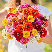 Vista 17 de Eden Brothers - Semillas de zinnia, cactus con flores, sin OMG, plantar en primavera, paquete, flores de bajo mantenimiento, zonas 3, 4, 5, 6, 7, 8