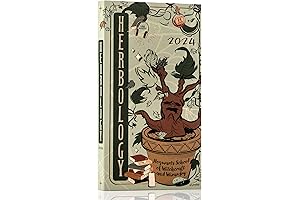 2023 Planner Harry Potter