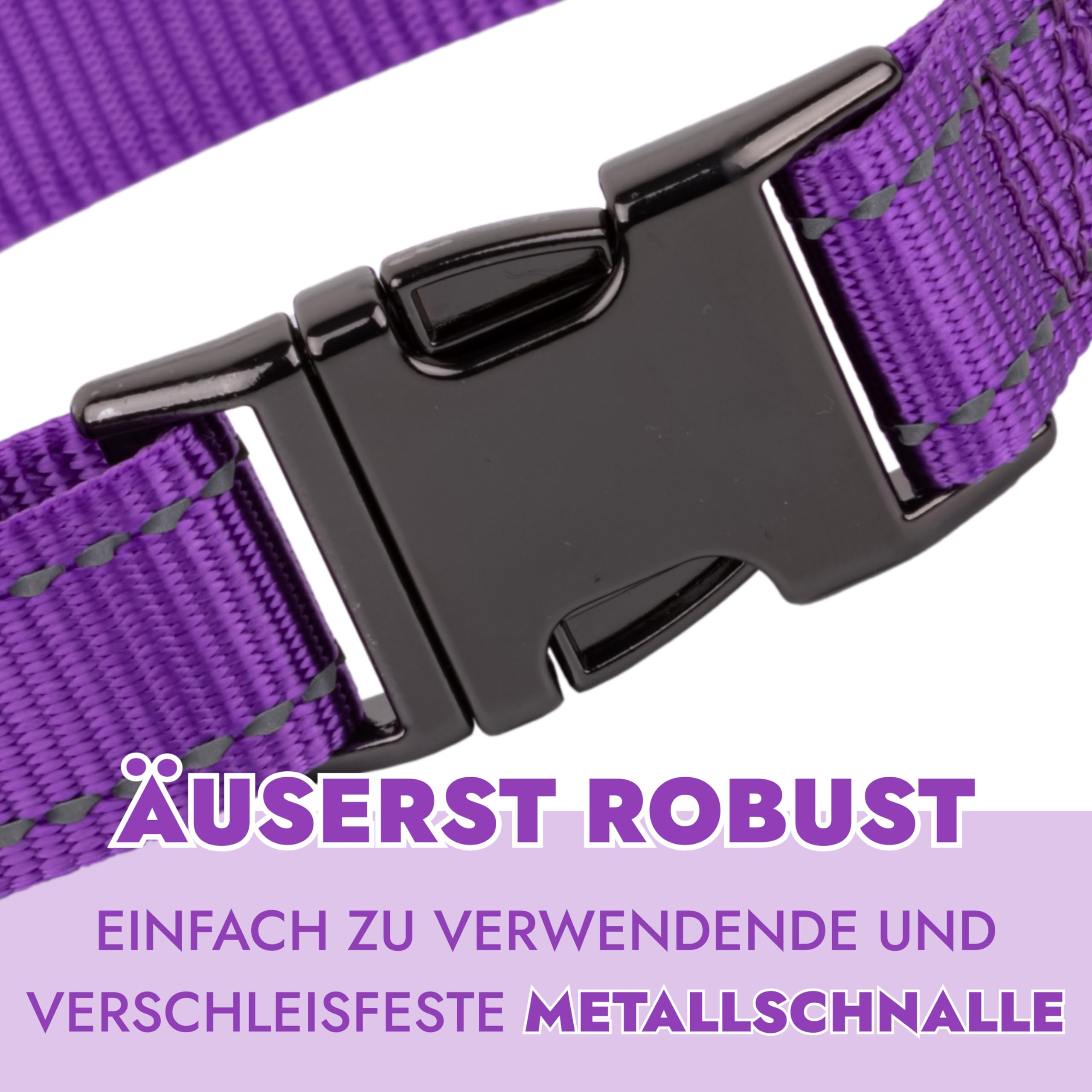 Reflektierendes Hundehalsband – Nylon, Verstellbar, Mit Schnellverschluss, Größe M, Lila