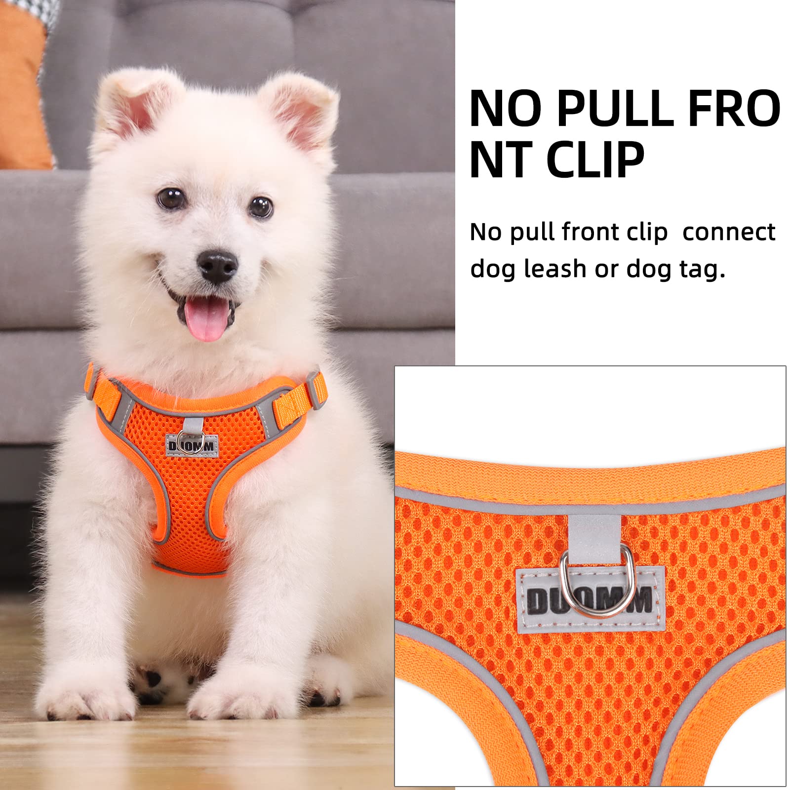 rennaio Dog Harness No Pull, Adjustable Puppy Harness with 2 Lead Clips, Ultra Breathable Padded Dog Vest Harness - Image 4