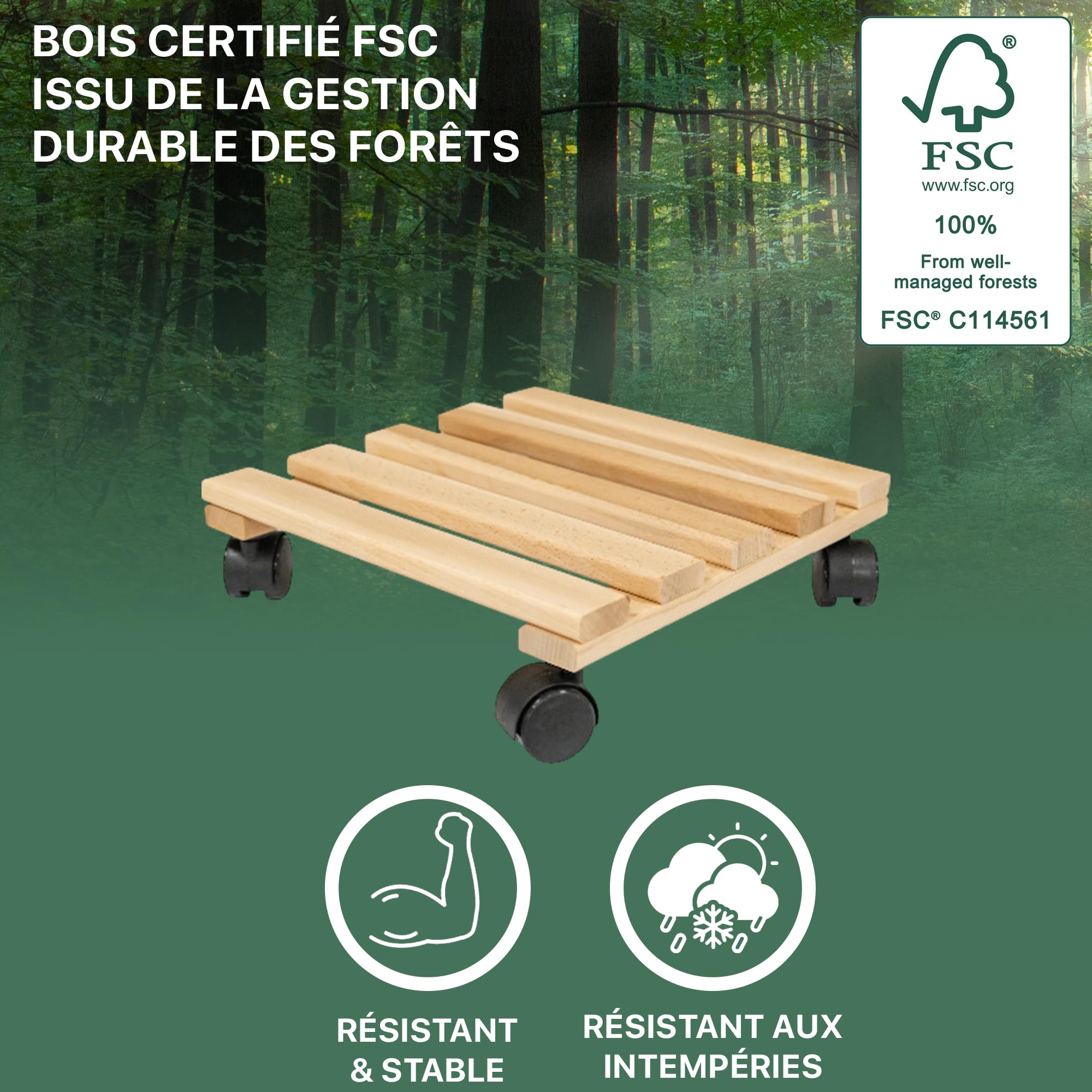 ITA Ensemble de 5 Supports Roulants pour Plantes Carrés 30x30 cm en Bois de Hêtre - Capacité de Charge 120 kg - Intérieur et Extérieur - Fabriqué en UE