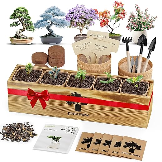 Bonsai Tree Kit for Beginners - 5 Unique Japanese Bonsai Seeds, DIY Indoor Gardening Crafts for Adults | Valentine's, Mother's Day & Birthday Gifts for Women and Men | Complete Starter Kit with Tools
