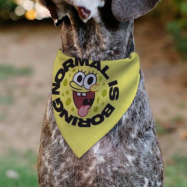 Foto 4 de 6 de Bob Esponja Bandana para Mascotas Bob Esponja Squarepants Normal is Boring Pose Yellows Slip On Collar…