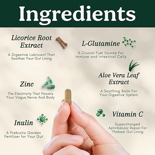 Miniatura 3 de Best Days Formula  Soporte intestinal avanzado 5 en 1 para hinchazón, gases e irregularidad  Probióticos a base de suelo + prebióticos, L-glutamina,