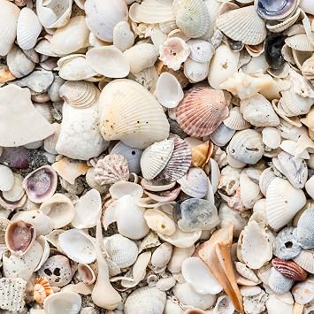 GARDENWISE Natural Organic Sea Shell Mulch for Gardens and Landscaping Decorative and Nutrient-Rich, 0.53-Inch Shells, Perfect for Indoor and Outdoor Use 0.3 CF - 8 L - 9 QTS