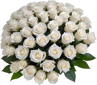 50 White Roses | Bulk Roses by Arabella Bouquets | Real Fresh Flowers for Delivery, Gift for Birthday Women, Congratulations, Anniversary, Thank You, Mother's Day