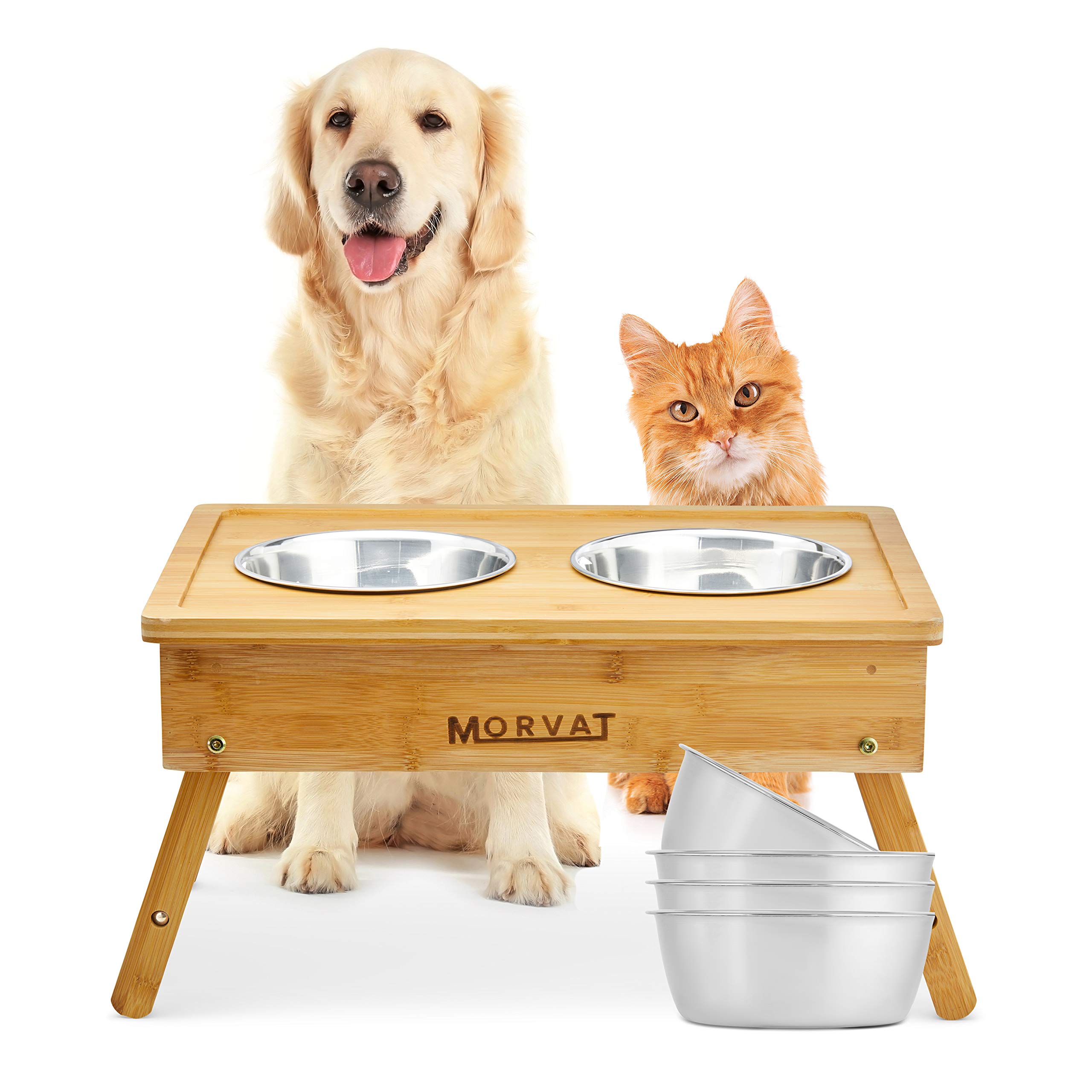raised dog feeding station