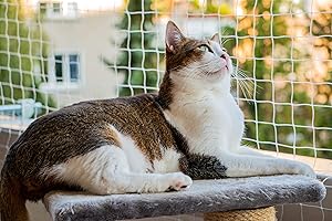 Safe and Protective Small Catio for Apartment Balcony
