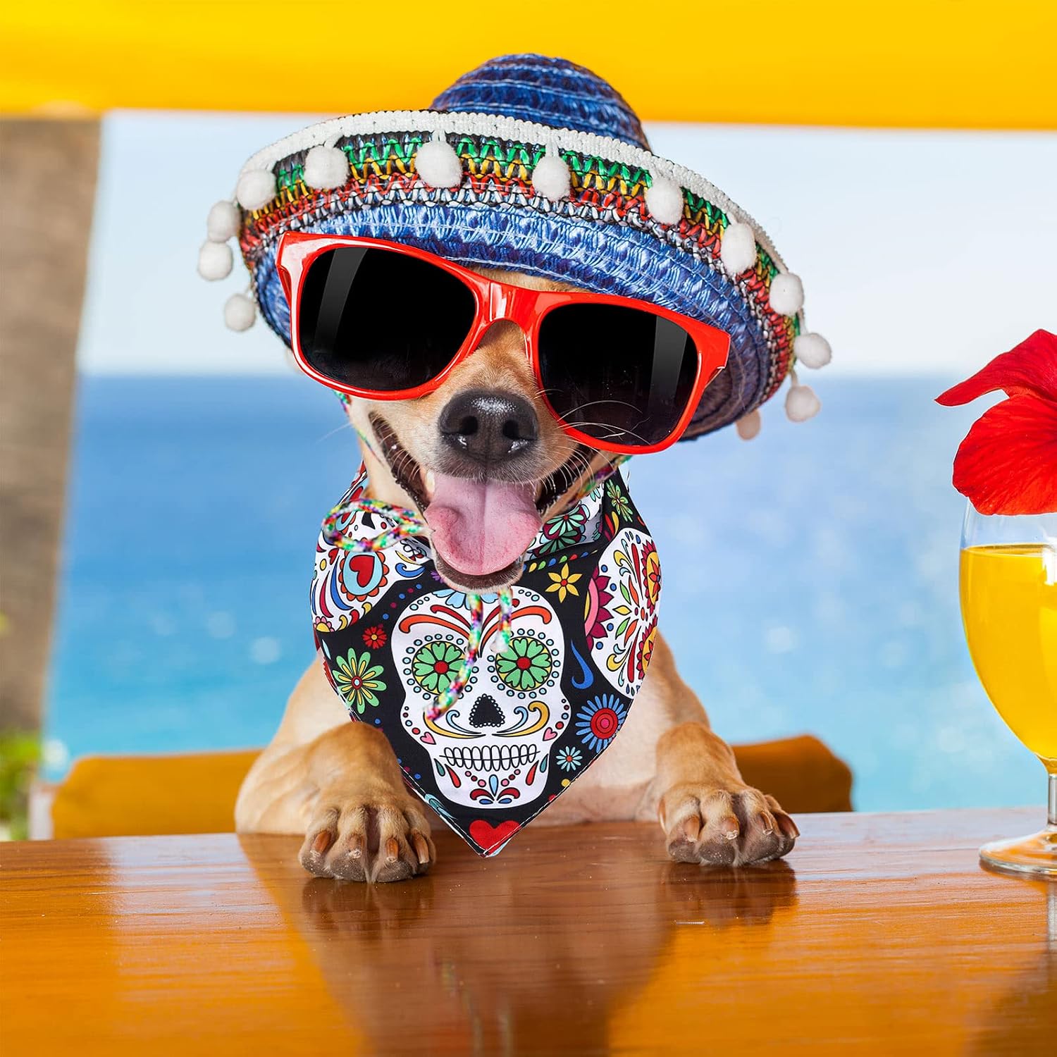 Whaline Mexican Dog Bandana Floral Skull Pet Bandana Red Black Skeleton Dog Bibs Cinco De Mayo Fiesta Pet Scarf Double-Sided Pets Neckerchief for Day of The Dead Small Medium Large Cat Dog, 2 Pcs image 5