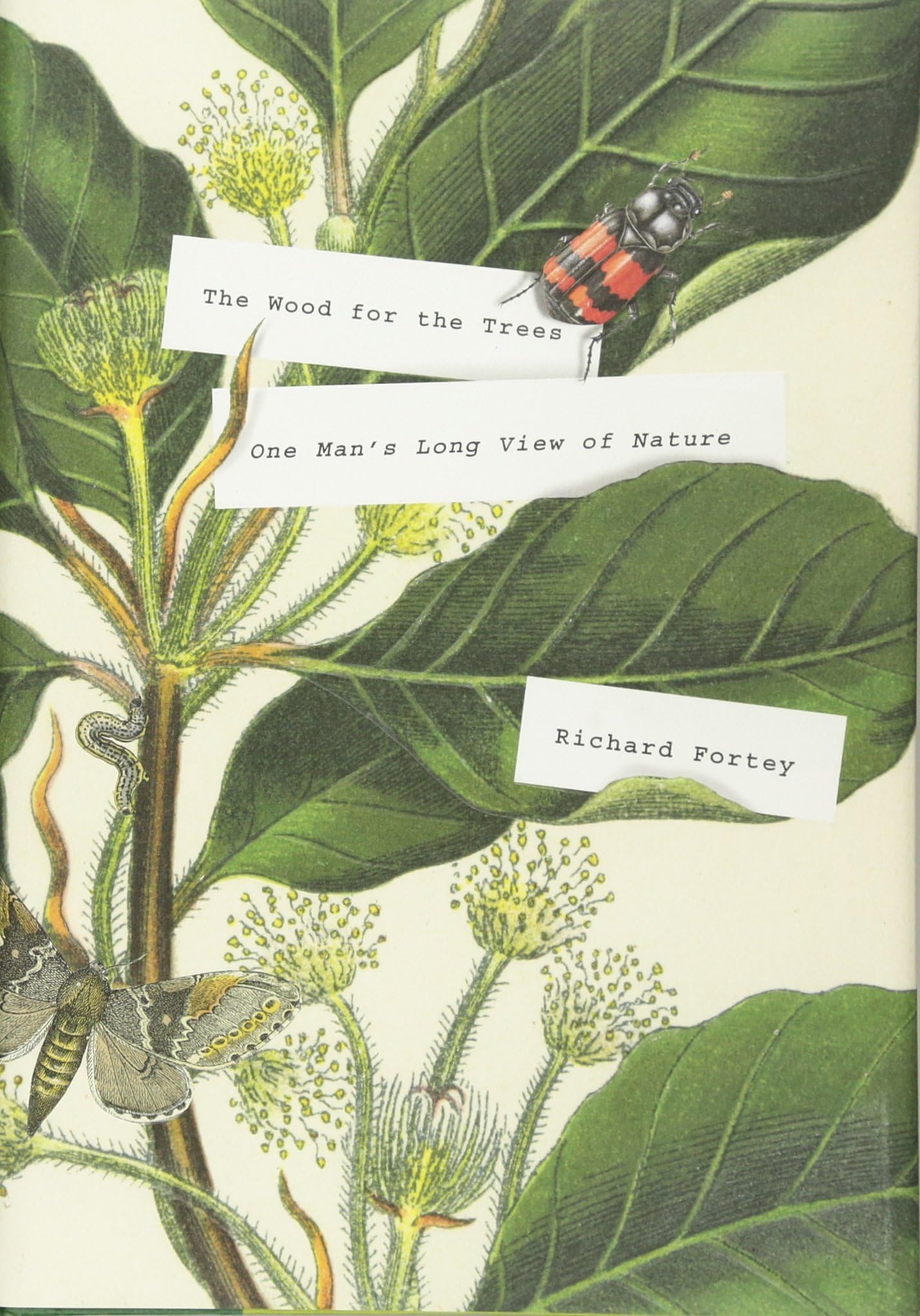 The Wood for the Trees: One Man's Long View of Nature