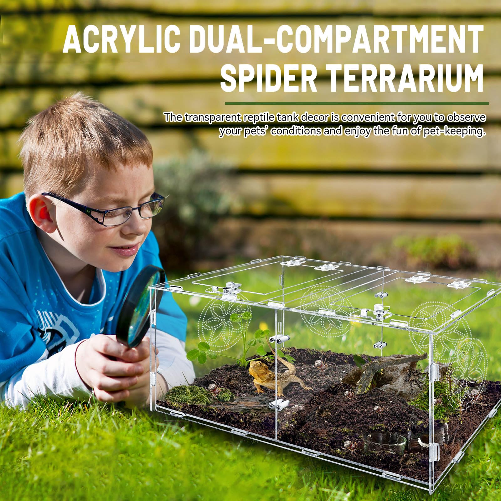 Recinto grande de araña saltadora, caja de tarántula acrílica de 15.7 x 7.8 x 9.85 pulgadas, recinto de reptiles para reptiles que viven en árboles pequeños, anfibios e invertebrados, terrario de