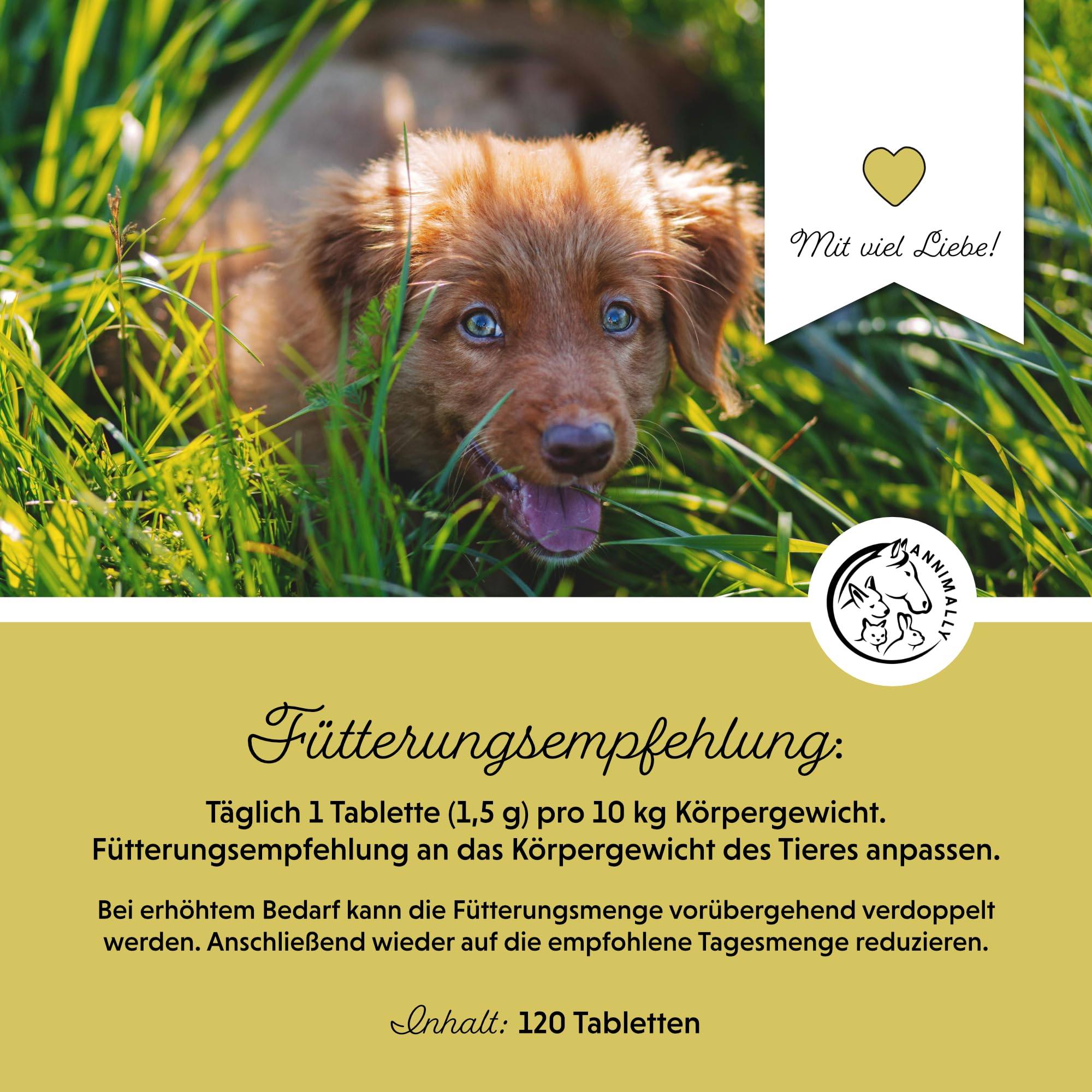 Annimally Gras- & Kotfresser Tabletten für Hunde - Unterstützen Verdauung & Magen-Darm-Flora, mit Probiotika, Ballaststoffen & Pflanzenstoffen, 120 Stück