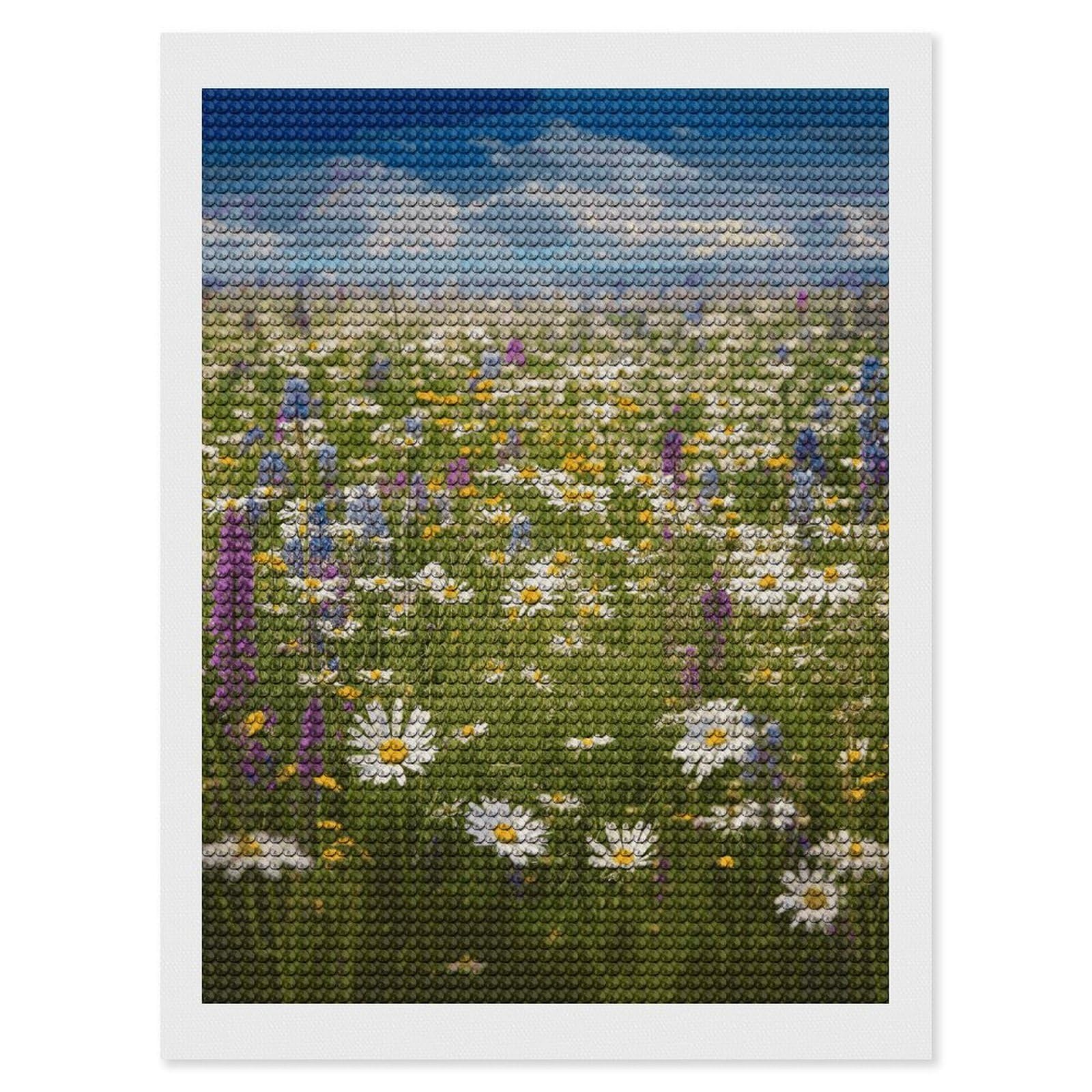 FekiLoot Spring Meadow Flowers Paint by Numbers Kit for Adults Beginner DIY Diamond Dots Paintings Round Full Drill Diamond Art Kits Picture Diamond Art Painting Kits for Home Decor 12"x16"