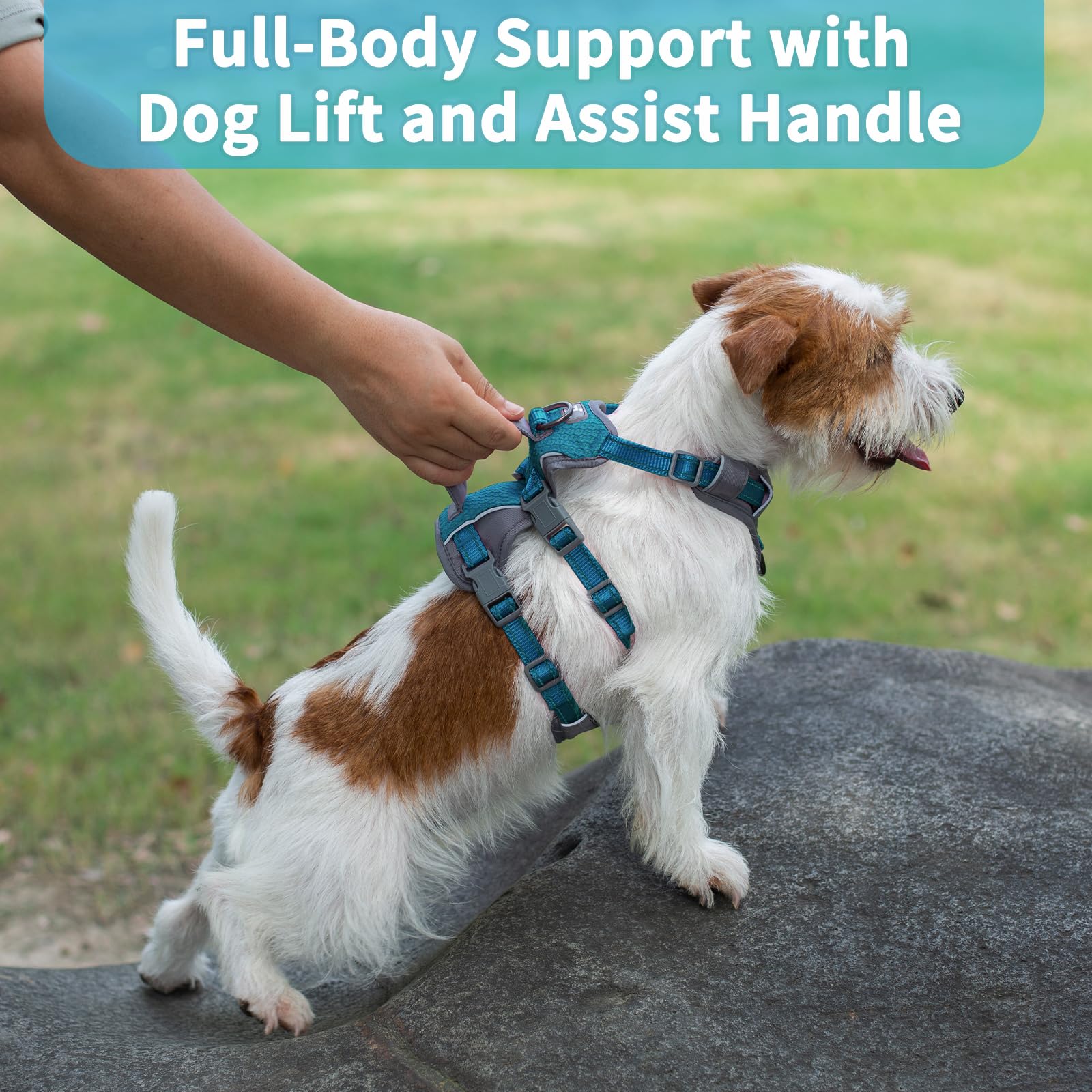 Huntboo Escape Proof Dog Harness Medium, Anti-Pull Dog Harness with Handle, Breathable, Adjustable, Reflective Dog Harnesses - Image 4