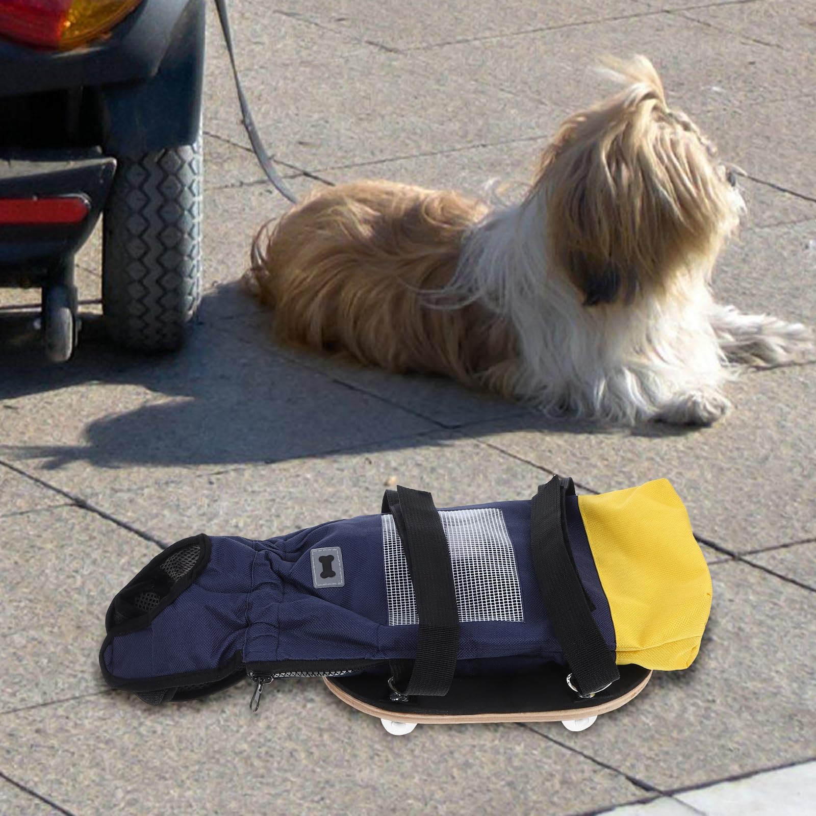 HEMOTON Carrellino per Cane Disabile con Ruote, Ausilio alla Mobilità per Zampe Posteriori, Realizzato in Poliestere e Legno, per Attività All'aperto al Chiuso