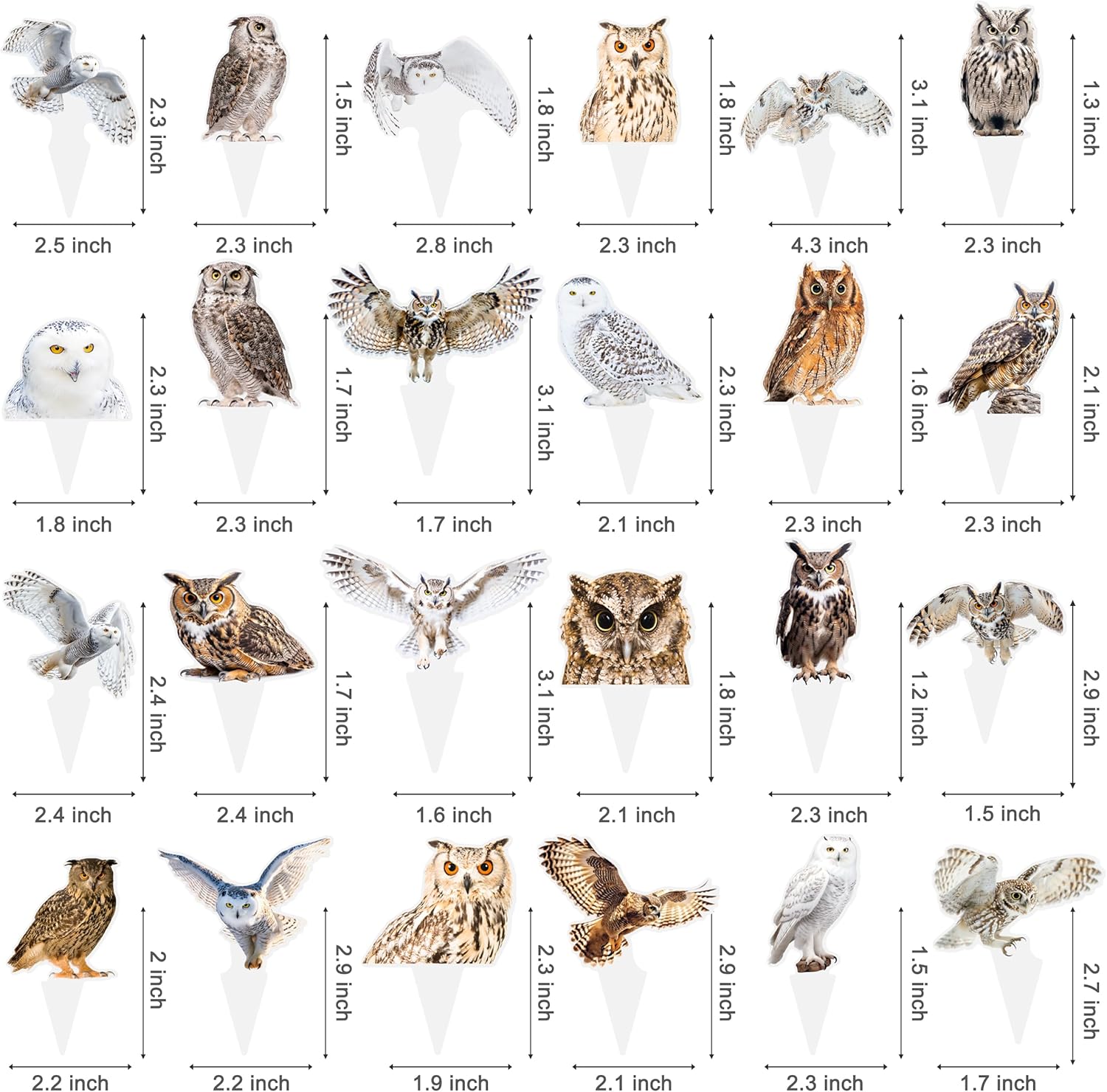 48Pcs Owl Theme Cupcake Toppers Owl Birthday Party Decorations Woodland Animal Cake Topper Decorations for Forest Animal Baby Shower Party Supplies - Image 3