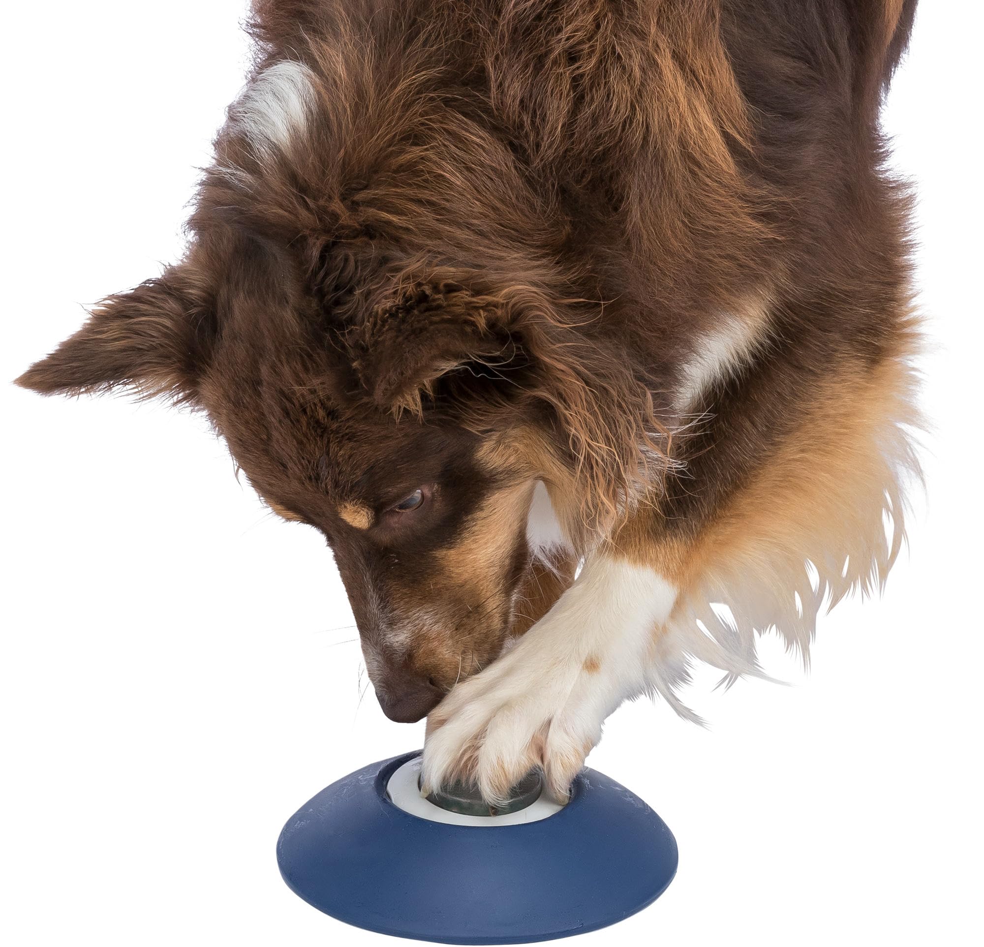 TRIXIE Dog Activity Memory Trainer 3.0 – juego estratégico interactivo para perros – estimula la resolución de problemas & el enriquecimiento mental – 20 × 24 cm