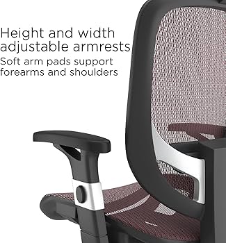 81exo6VyDLL._AC_UF350,