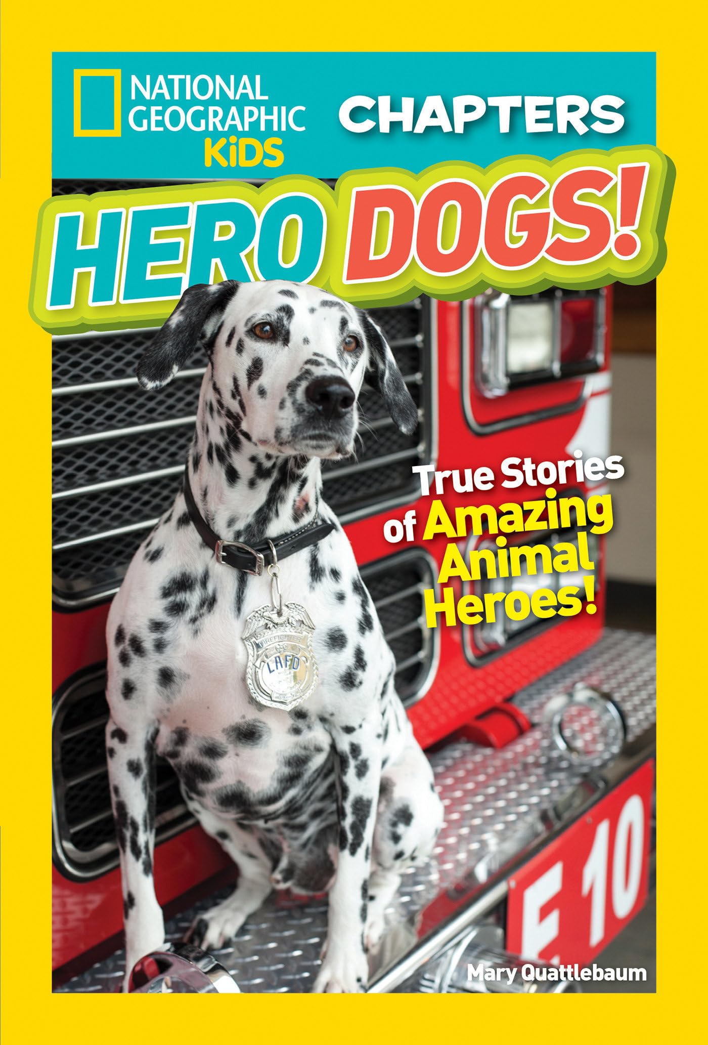 National Geographic Kids Chapters: Hero Dogs! (NGK Chapters) Paperback – Illustrated, July 25, 2017