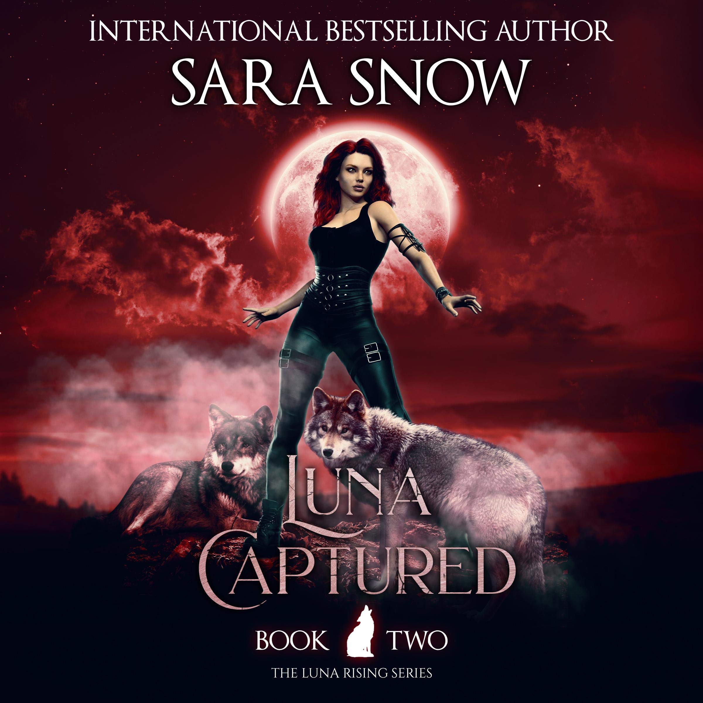 Cover art for Luna Captured