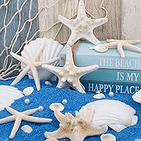 Vista 3 de Conchas de mar grandes de 4 a 5 pulgadas, conchas marinas a granel para manualidades y decoración, decoración de boda para fiesta en la playa