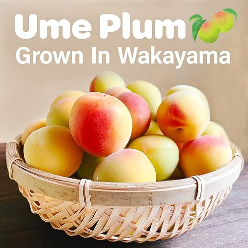 Vista 5 de YAMASAN KYOTO UJI Jelly Fruit Mochi, caramelo tradicional japonés, envuelto individualmente, trabajos artesanales, 100% ciruela Ume japonesa, 10.58