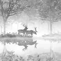 Weihnachtspapierservietten Mit Aquarell-Motiv – Kiefernwald & Hirsch, 80 Stück, 33x33 Cm