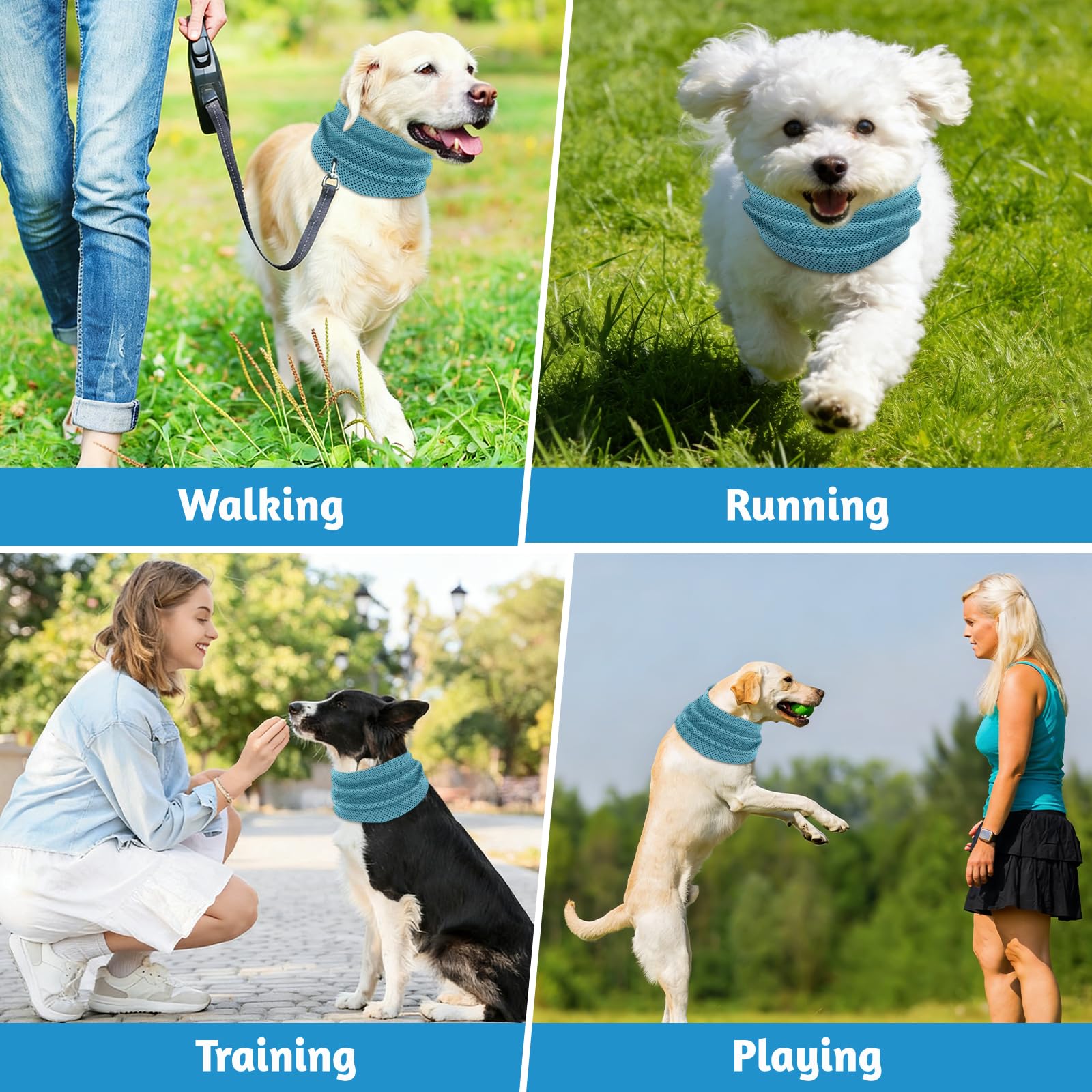 Collare di Raffreddamento per Cani, Collare Rinfrescante per Cani, Bandana Refrigerante per Canis, Collares Refrigerante Cane per Rinfrescare gli Animali Domestici in Estate (Blu, L)