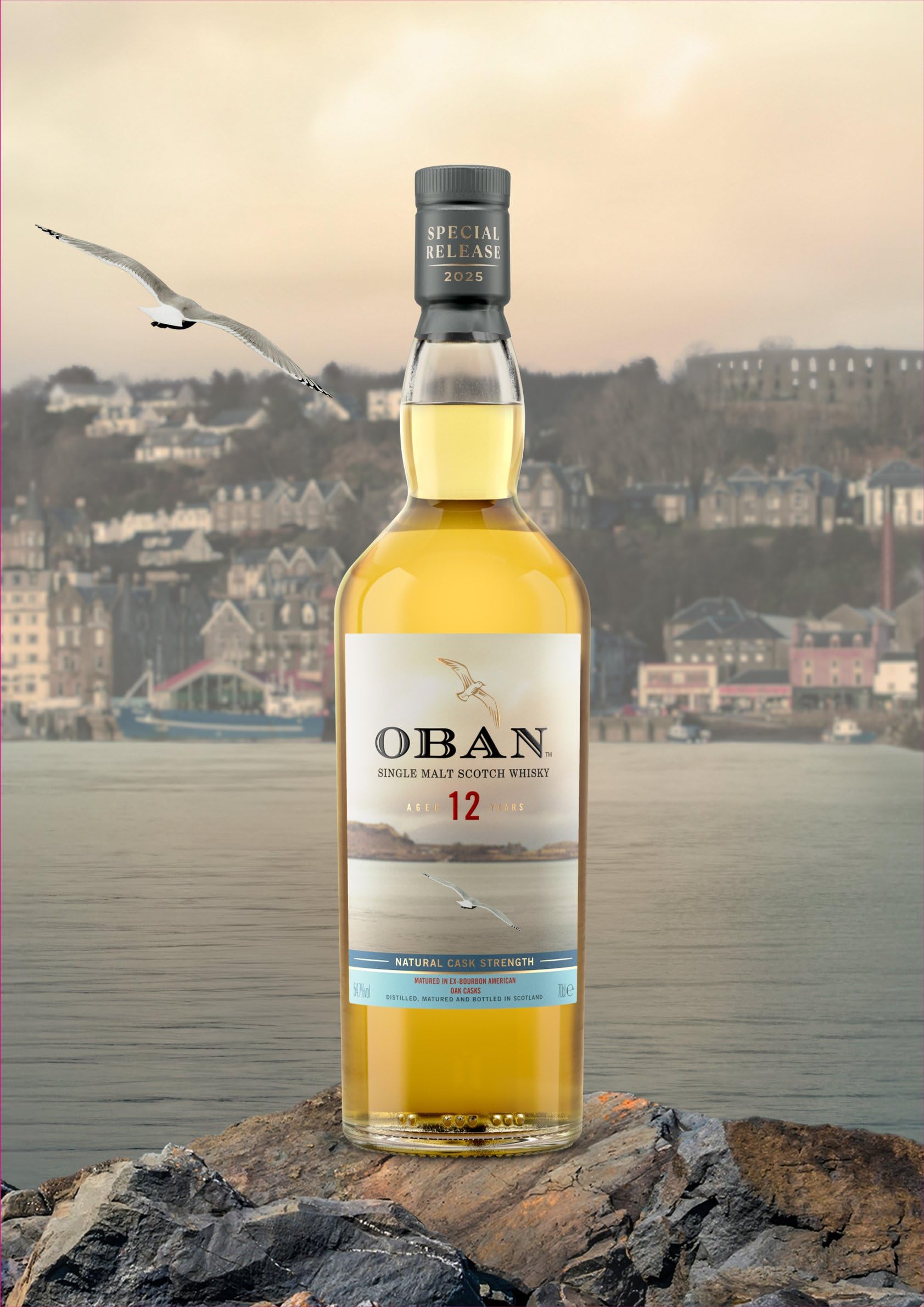 Oban 12 Year Old (Special Release 2025) : Amazon.co.uk: Grocery