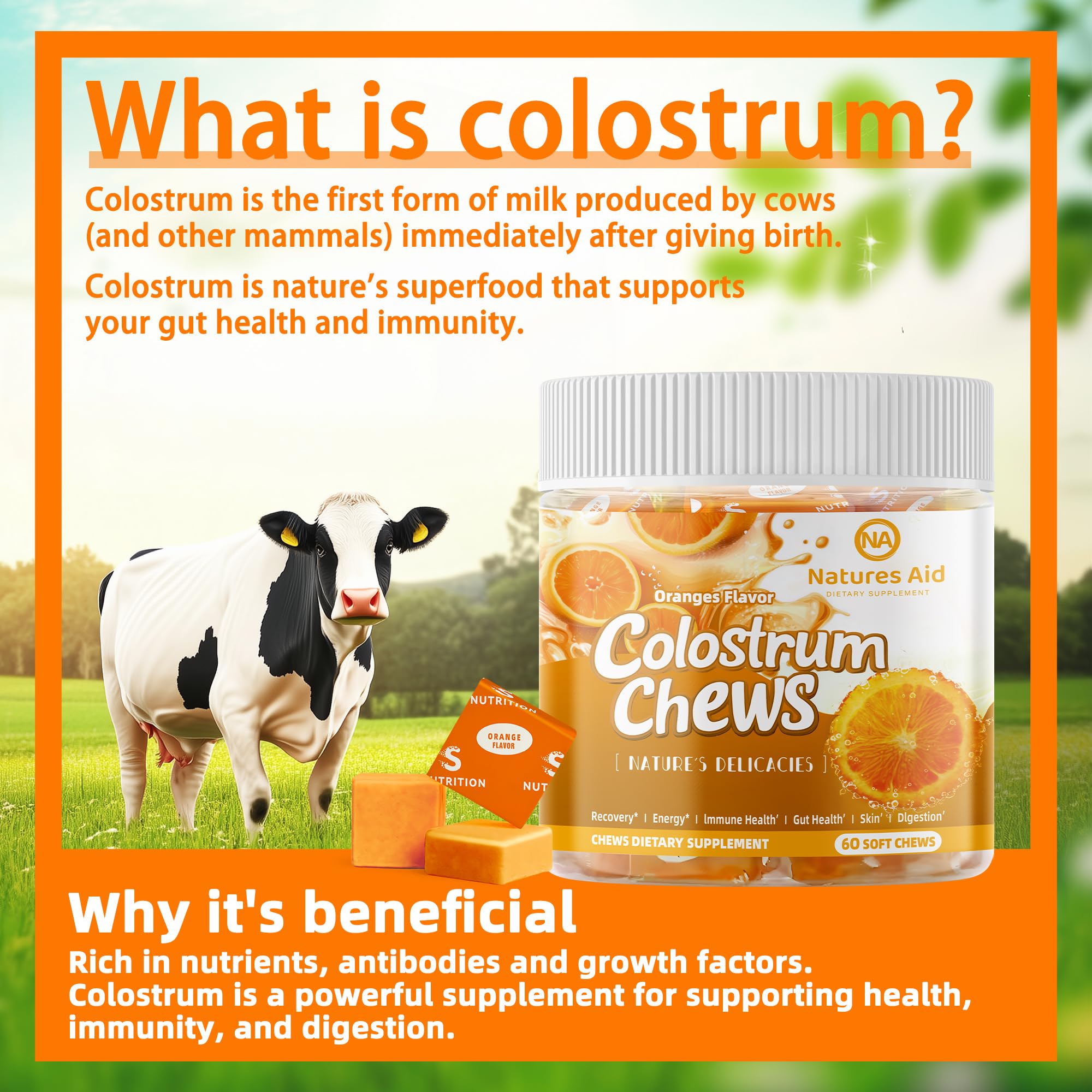 Colostrum Chews Supplemen...B0DMKCF6Y6 | Encarguelo.com.ec