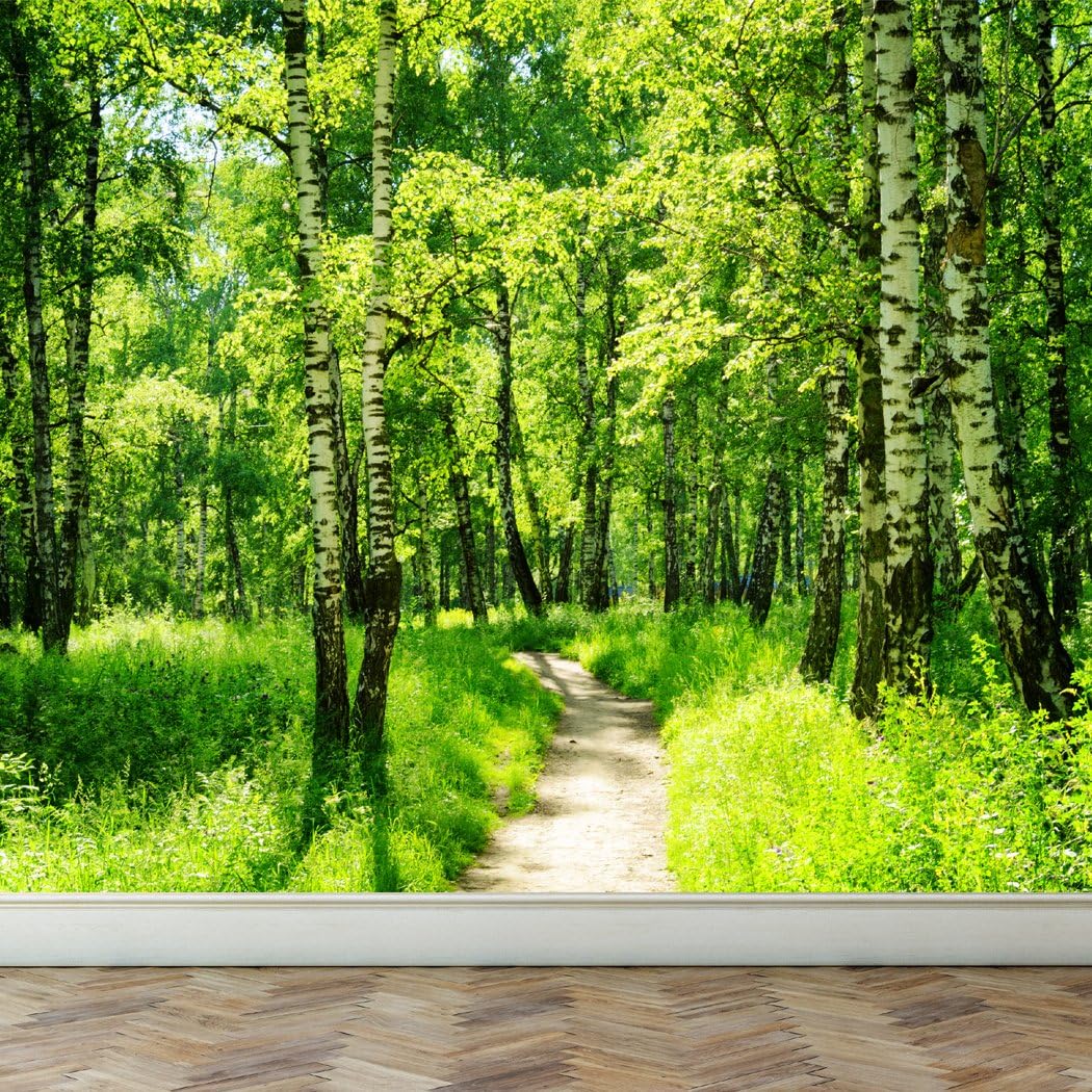 RoyalWallSkins Wall Mural Sunlight in The Park, Peel and Stick Repositionable Fabric Wallpaper for Interior Home Decor (70"w x 51"h, WMYJH150320)