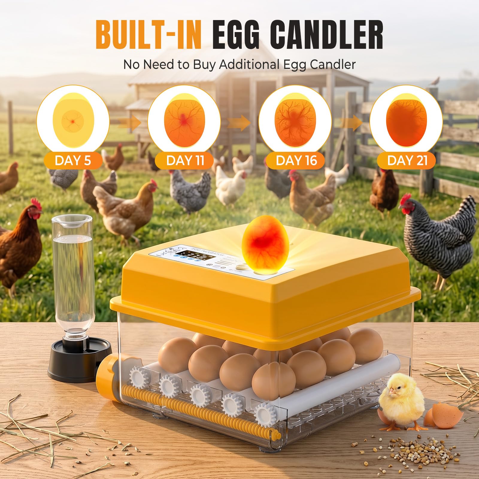 Incubadora Huevos Gallina Automática 16-120 Huevos, Incubadora con Volteo Automático y Adición de Agua, 12V/220V Dual, Pantalla LED, Control de Temperatura y Ovoscopio para Aves, Codorniz (16 Huevos)