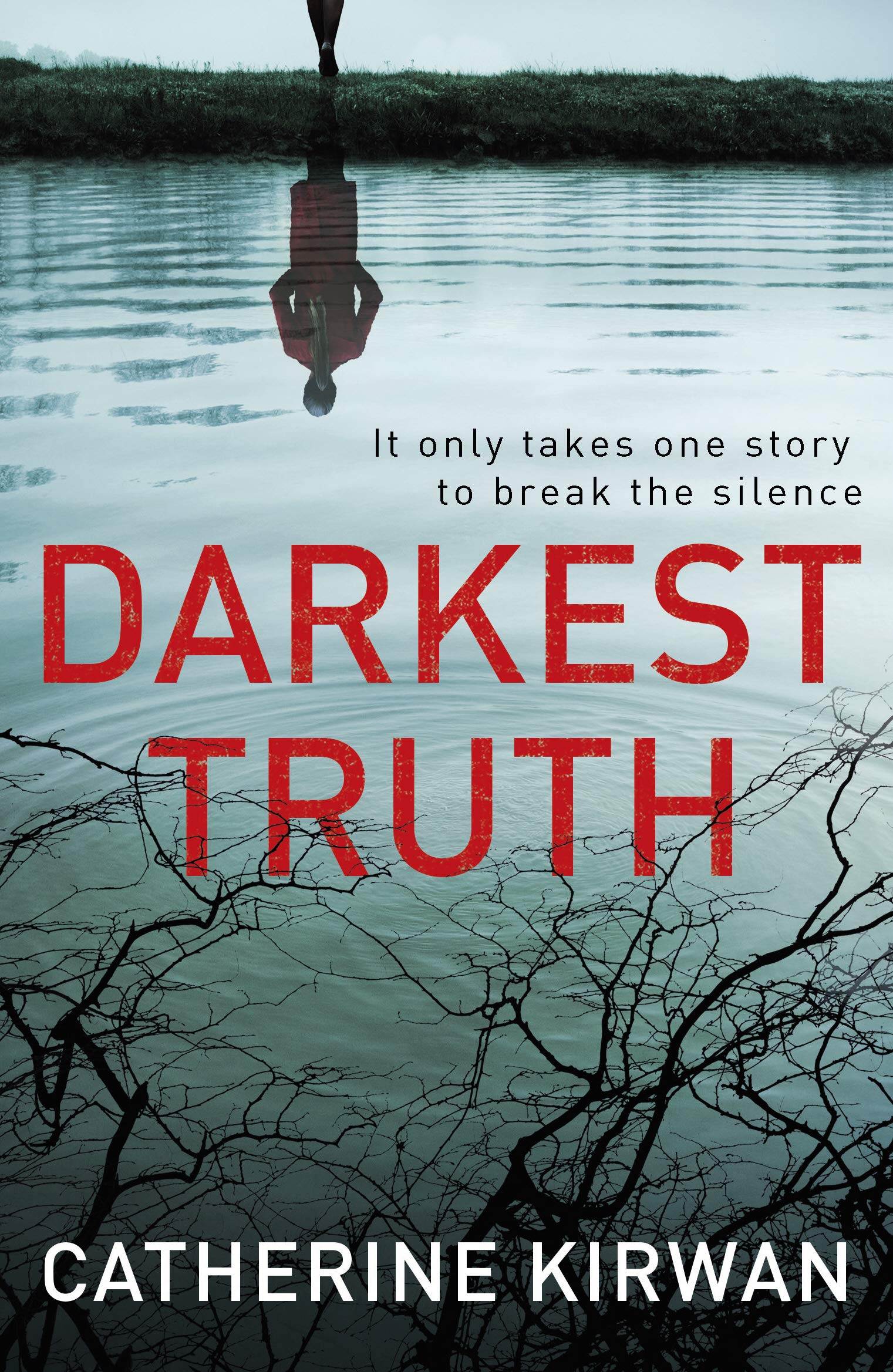 Buy Darkest Truth: She refused to be silenced (Finn Fitzpatrick Series) — BookShops.in