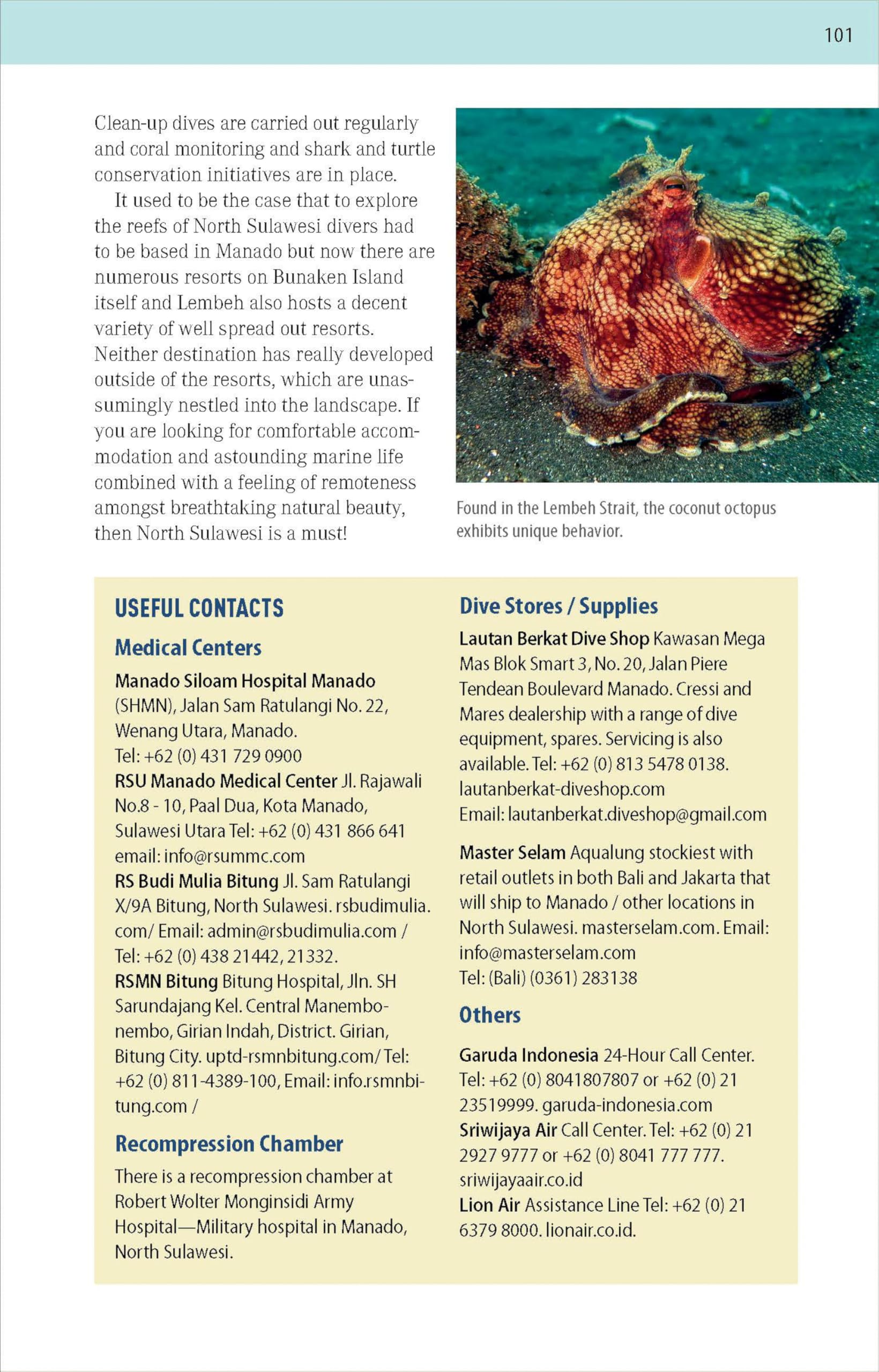 The Ultimate Guide to Diving in Indonesia: Exploring the Tropical Seas with the World's Greatest Marine Biodiversity