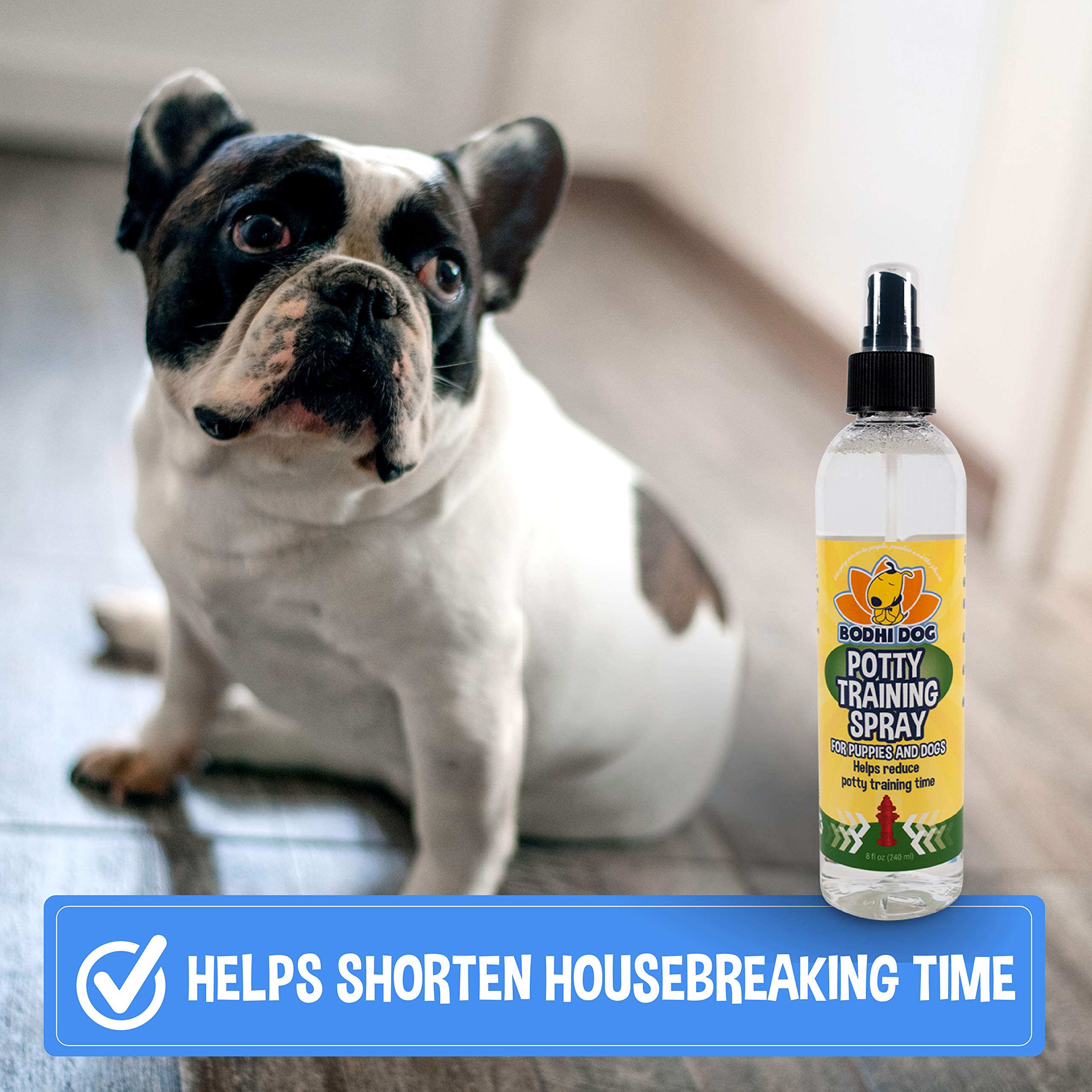 Bodhi Dog Potty Training Spray Indoor Outdoor Potty Here Training Aid